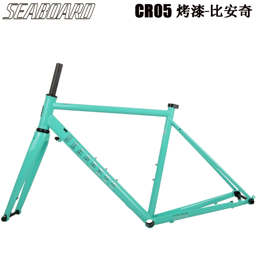 CR05 SEABOARD Road Bicycle 700C Chromium-molybdenum Steel Frame With Carbon Fork Disc Brake 100x12mm 142x12mm Thru Axle