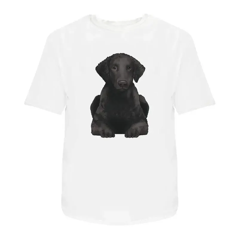 Curly Coated Retriever' Cotton T Shirt Ta042530