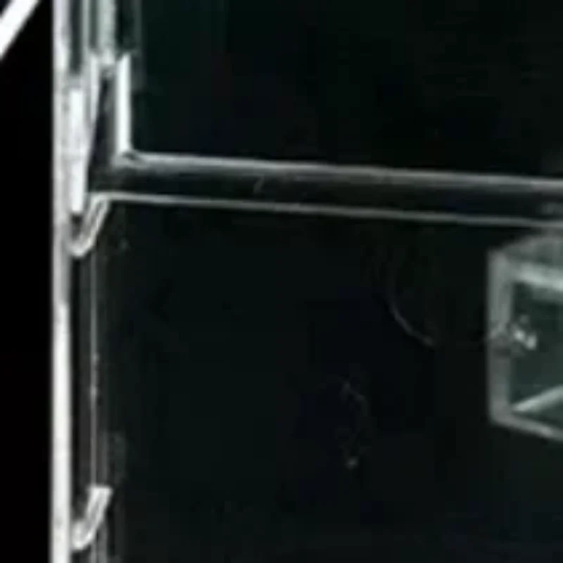 

1 шт., прозрачная коробка для хранения кассетной ленты, аудиомагнитный чехол для записи, пустой чехол с лентой, пылезащитная коробка