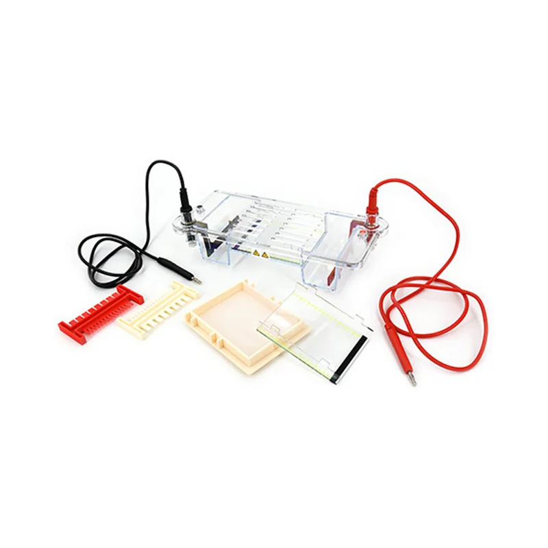 Agarose Horizontal Electrophoresis Instrument Is Suitable for Separating, Preparing DNA, and Determining Molecular Weight