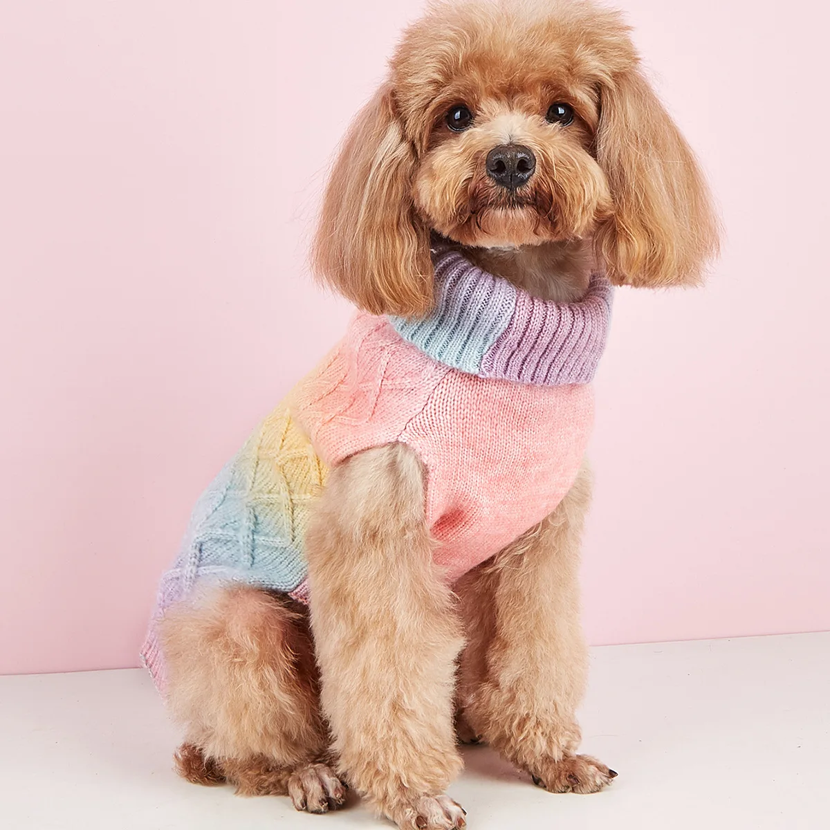 2023 New Rainbow Colorful Dog Clothes Knitted Pets Dogs Clothing Chihuahua Puppy Pet Clothes for Small Medium Dog Coat Sweater