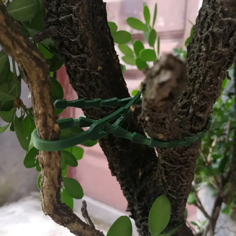 ปรับสวนสนับสนุน Stakes SINGLE Stem Plant CAGE สนับสนุนแหวนคลิปและเชื่อมต่อท่อสําหรับ Orchid Rose มะเขือเทศ