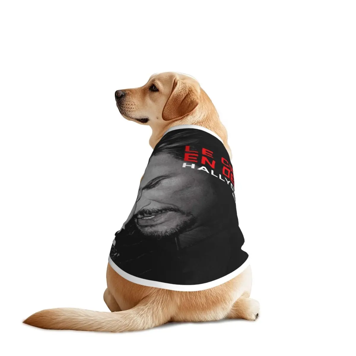 Mesh Johnny Hallyda… - image