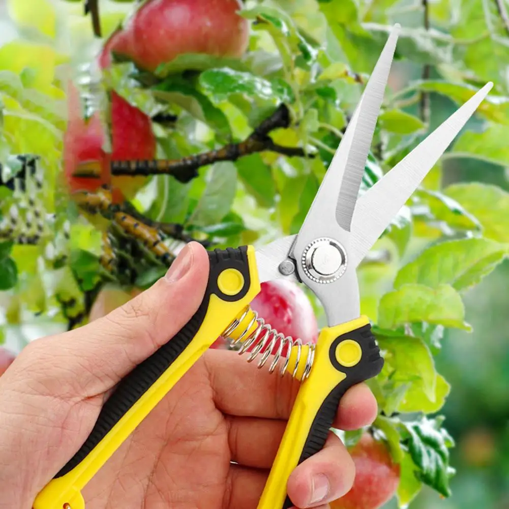 Garden Tools Secateurs Bonsai Shears Metal Gardening Scissor Pruning Tool Hand Cutter Fruit Picking Weed Household Potted 1PC