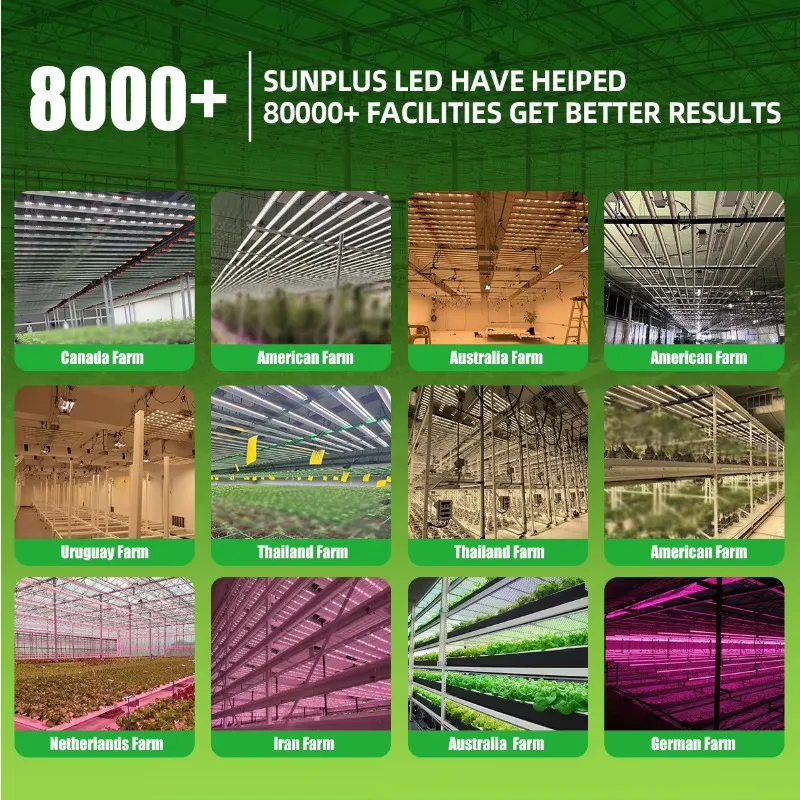 Vertical LED Agricultura 860W 1300W Ajustável Hidropônico Dobrável Espectro Completo Led Grow Light para Plantas de Interior