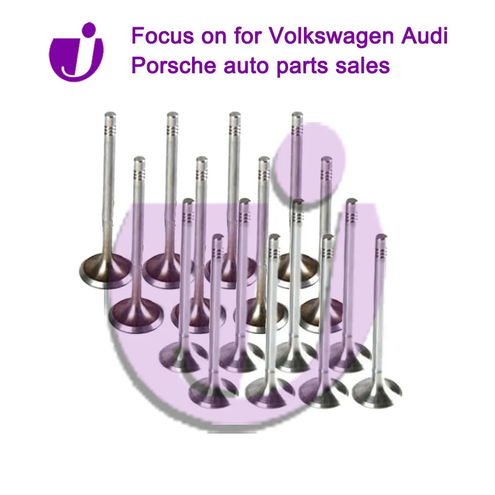 

High Quality Car Parts Automotive Parts Intake Valves 036109601AD Engine Valves 036109611K For VW Bora Lupo Polo TIGUAN Seat