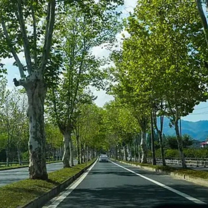 

GEPRC Cinelog25 V2 GEP-CL25 V2 Рама 2,5-дюймовые детали Аксессуар для пропеллера База Квадрокоптер FPV Гоночный дрон для фристайла RC