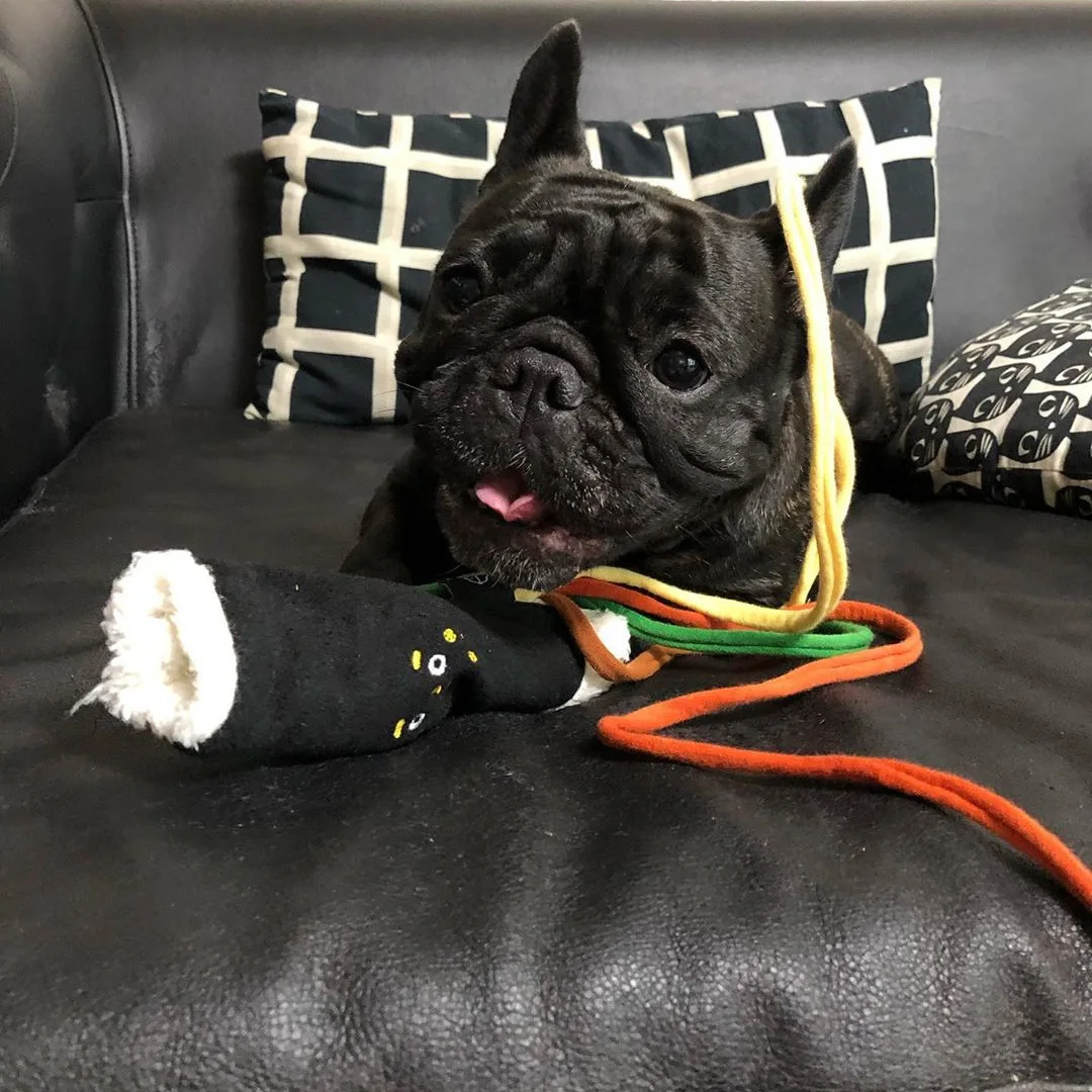 New Sushi Seaweed R…