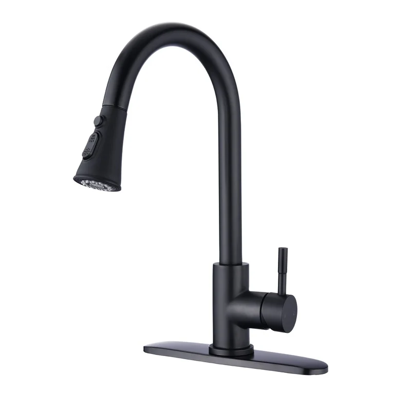 

Matte Black Pull Down Kitchen Faucet with Sprayer, Stainless Steel Design