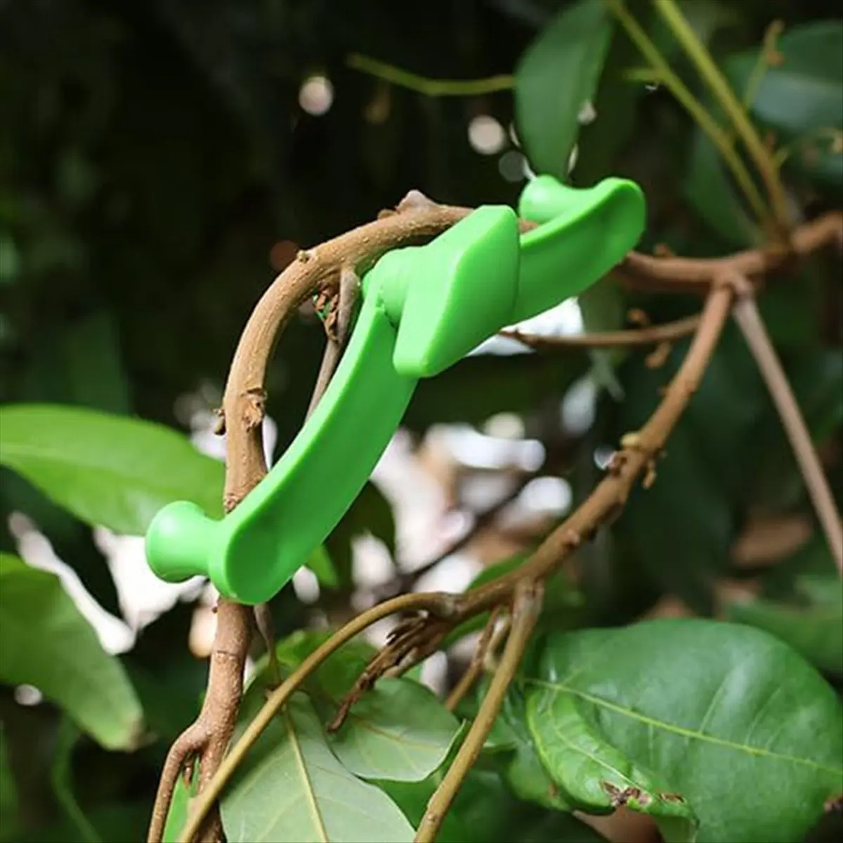 Spalmatori per arti, 25 pezzi Spalmatore per rami di alberi da frutto Nuovo estrattore per spalmare rami per modellare, Strumento per piegare rami di piante