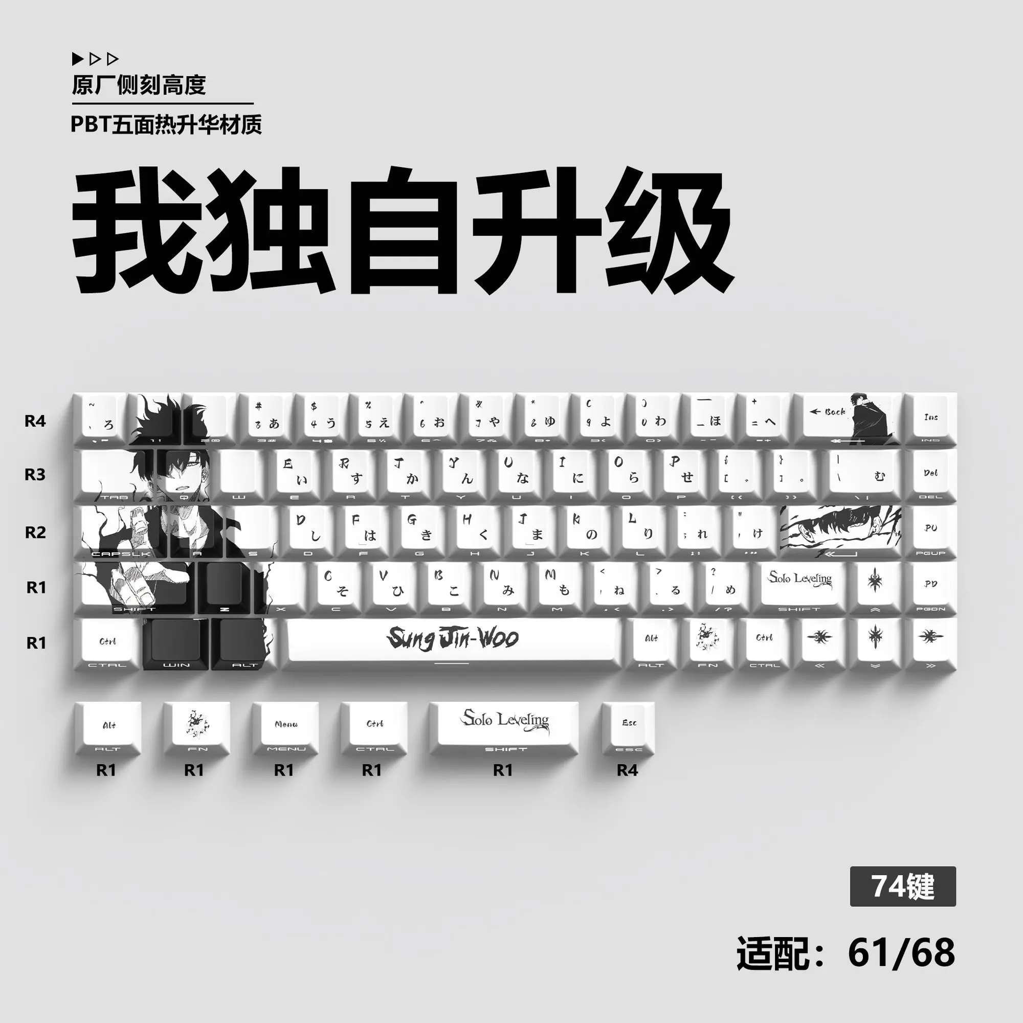 

74 Keys Solo Leveling Custom KeyCap PBT Cherry Side-print Transparent Personality Keycaps for Wooting 60 68 Mechanical Keyboard