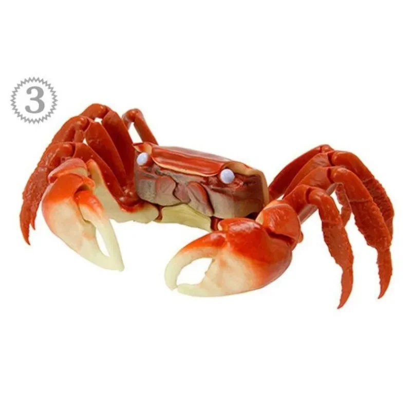 

Bandai Japanese Genuine Twisted Egg Biological Big Picture Appreciation Crab 02 Simulation Spider Crab King Crab