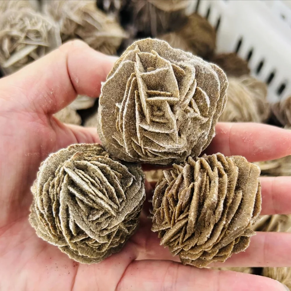 Large Size Natural Desert Rose Stone Raw Crystal Mineral Specimen Healing Rough Stone for Decoration for Gifts