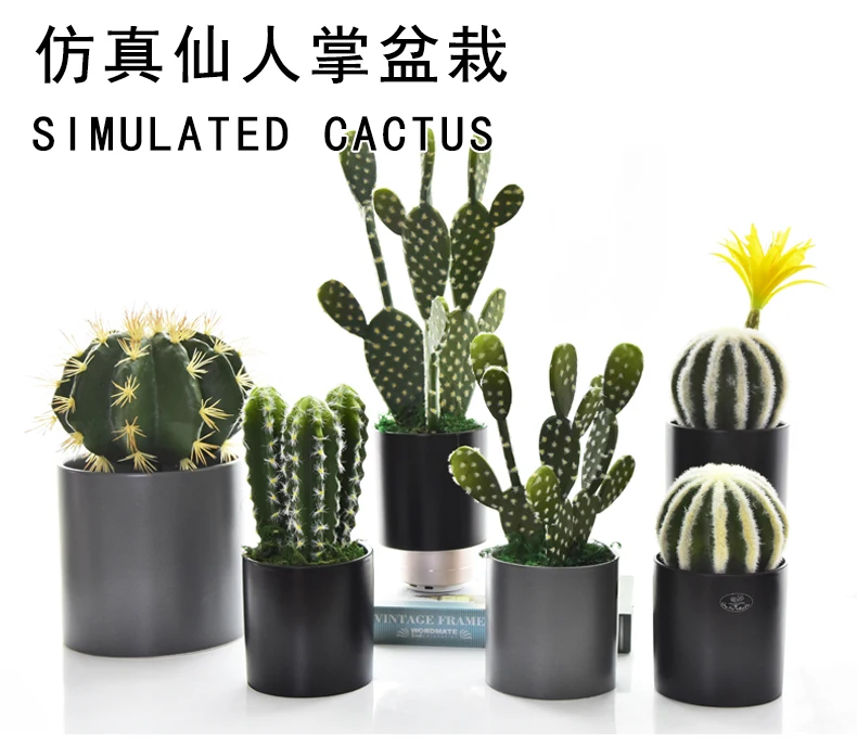

Artificial simulation plant succulent cactus bonsai small pot garden fake green plant decoration plant landscaping decoration