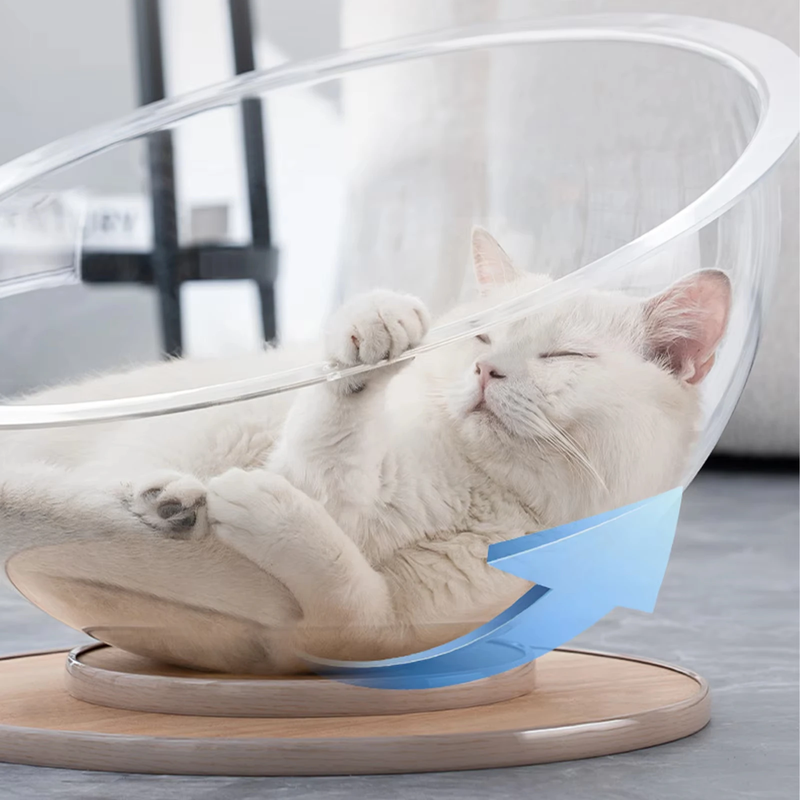 Space Capsule Cat Bed with Track Balls Toy Transparent Sleeping Nest Plastic Cat House for Small Medium Kitten Pet Supplies