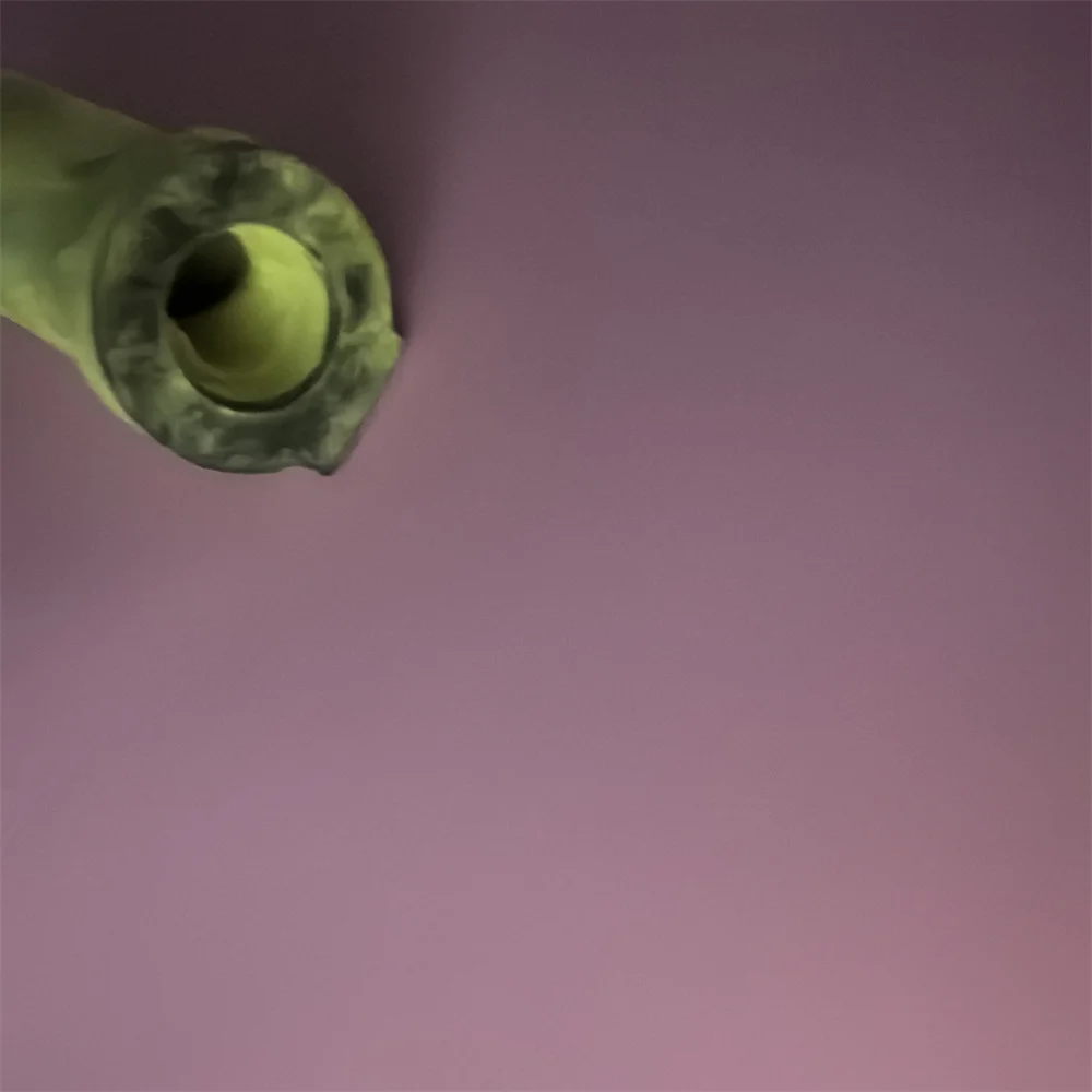 

10Pcs W523-2110 Toner Pump Rubber Pumps For use in Ricoh MP C2000 C2800 C2500 C3000 C3300 C3500 C4000 C4500 C5000