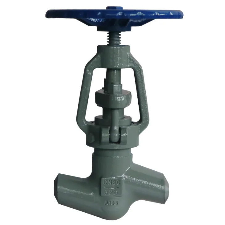 Forged Steel Globe Valve A105N Carbon