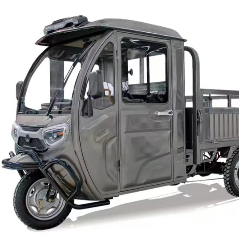 Cargo Electric 3-Wheel Tricycle with 60V Motor 1000W Power 400kg Capacity Open Steel Body EEC Certificate for Passenger Use 48V