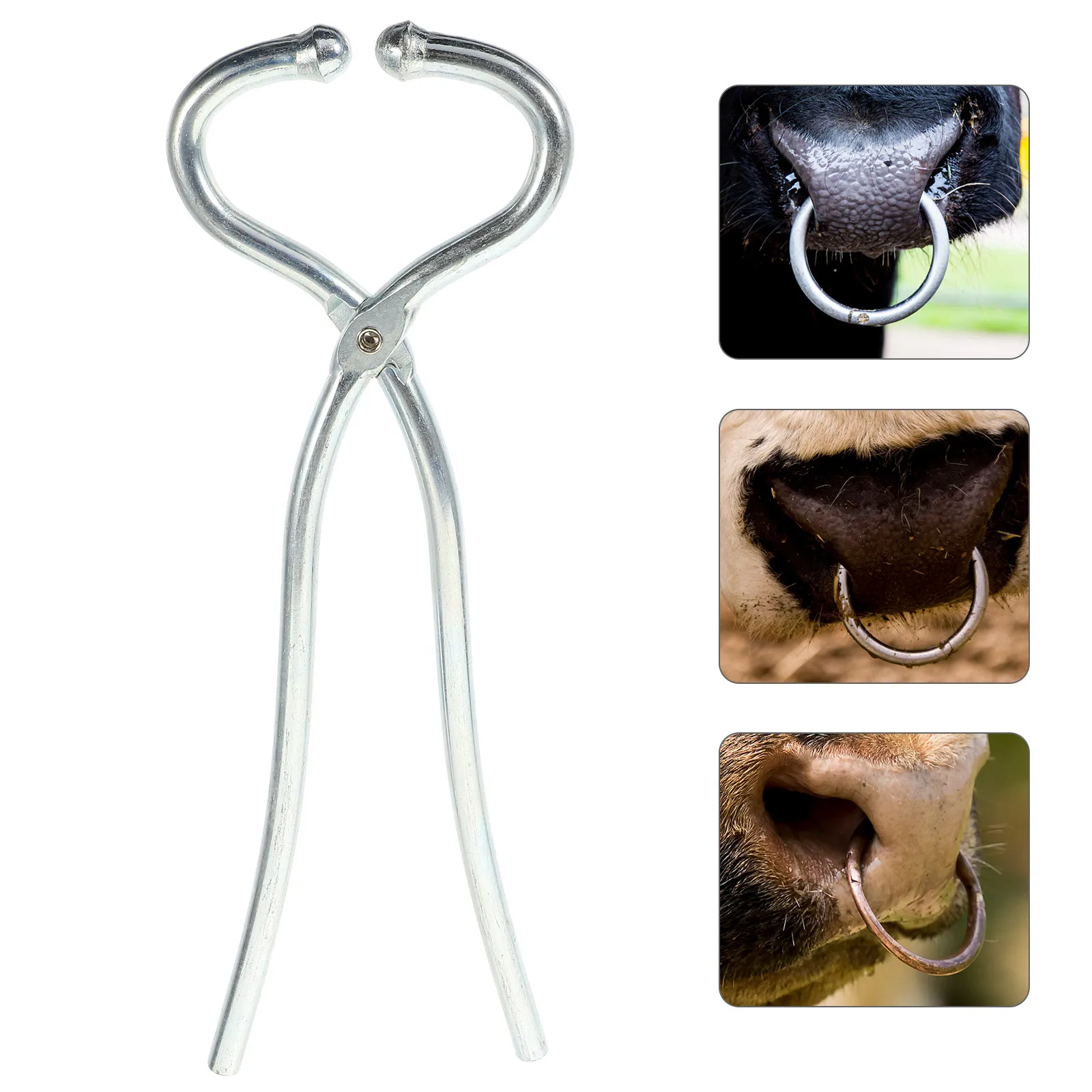 

1pcs Bull Nose Punching Pliers Stainless Steel Cattle Ring Tool Hole Maker Reusable Livestock Piercing Forceps Farm Supplies Cow