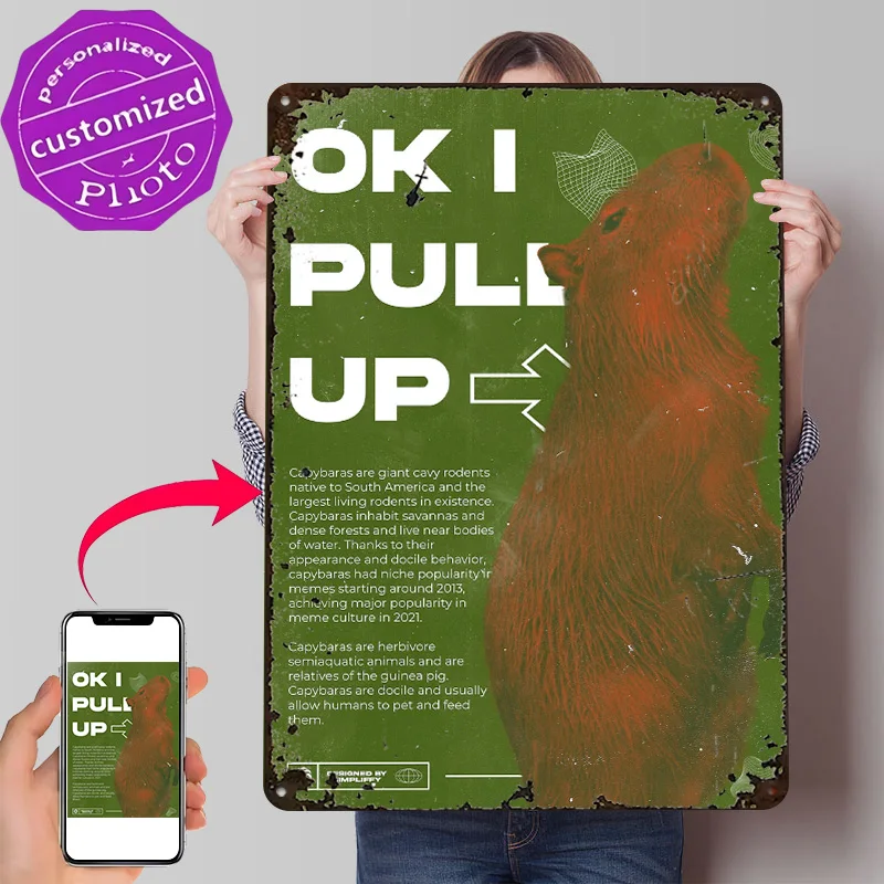 Ok I Pull Up Personalized 3D Textured Metal Poster Wall Art Tinplate Sign for Decoration Bedroom Accessories Funny Signs House