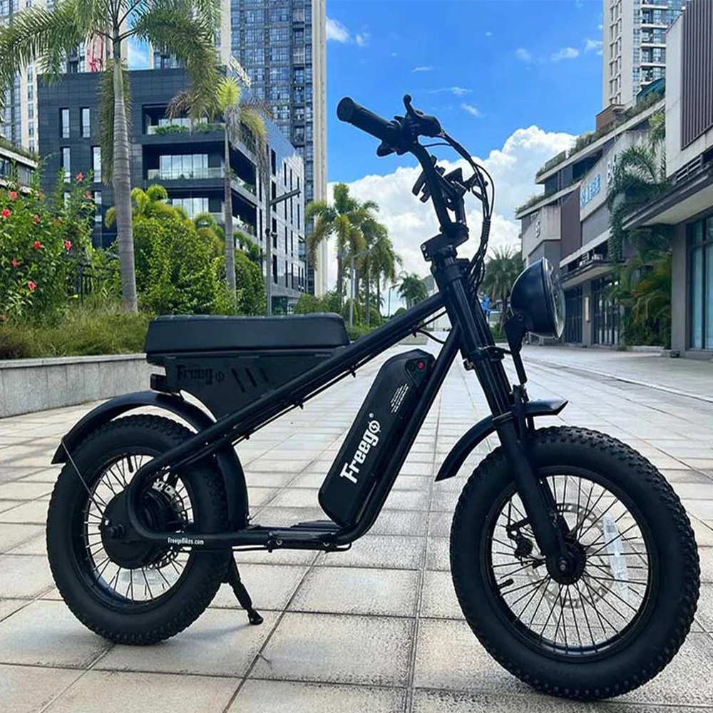 Freego دراجة نارية كهربائية صغيرة للطفل 800 واط محرك خلفي M1 48 فولت ، 10.4AH بطارية دراجة كهربائية الفرامل الهيدروليكية