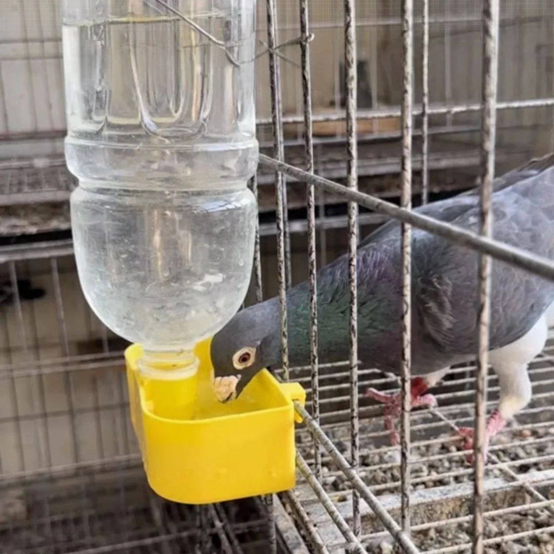 Kreativer Vogel-Wasserspender & Futterautomat für Papageien und Tauben, Hängender Trinkbecher aus Kunststoff für Vogelkäfige, Spezielle Vogelpflege-Ausstattung – Detail 5