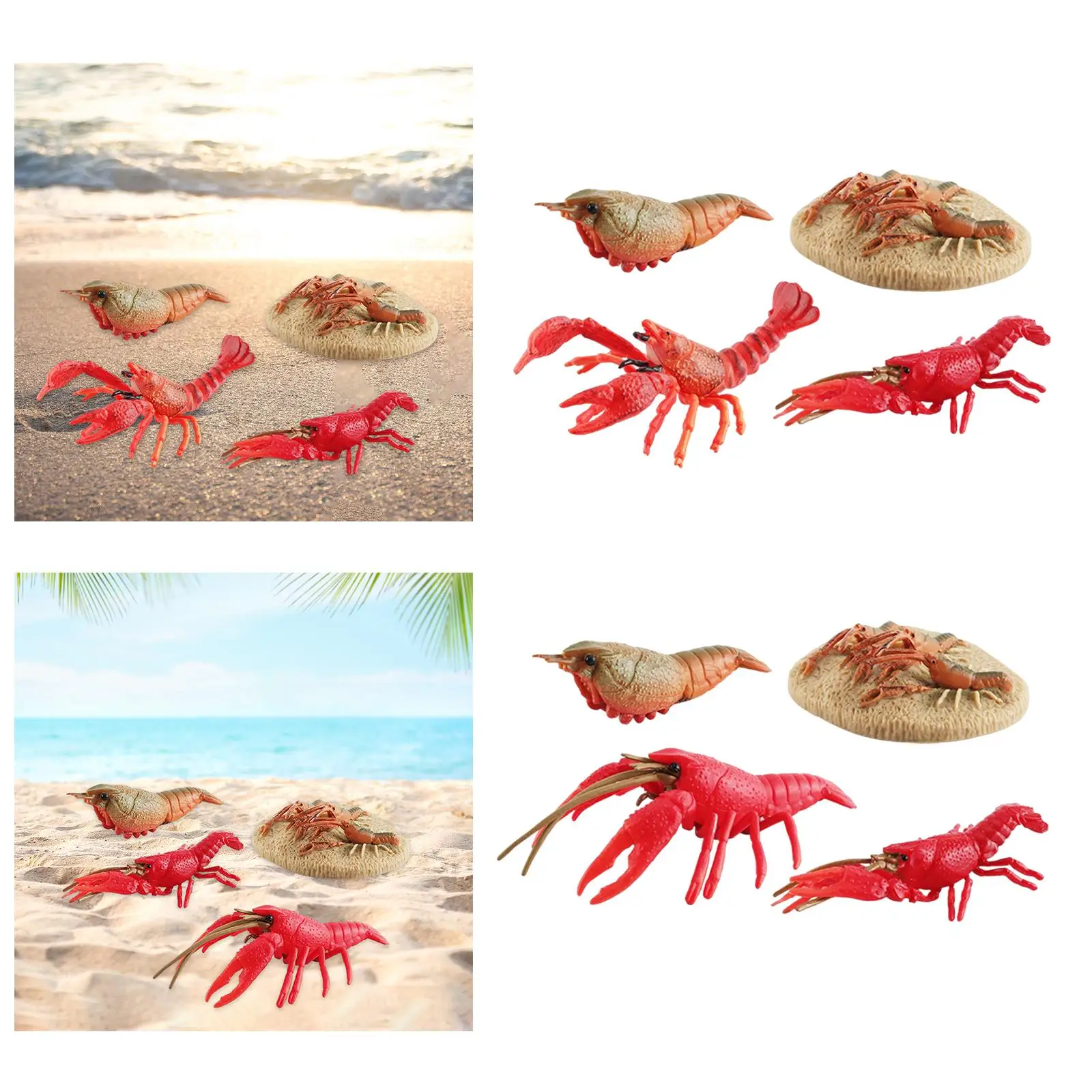 Lobster Life Cycle Model ชีววิทยาของเล่นวงจรชีวิตที่สมจริง Lobster Sea