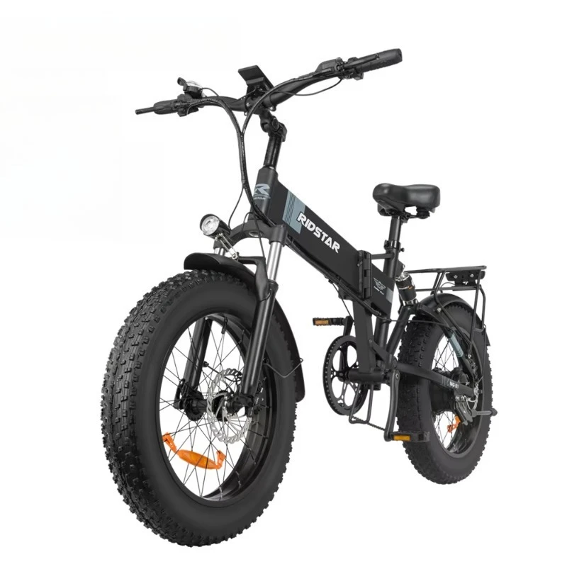 

Best Electric 48V Lithium Battery Hardtail MTB Disc Brake System New Design Winter Enduro Fat Bike Rear Hub Motor Aluminum Alloy