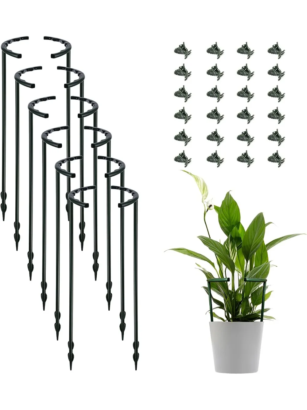 

12 опорных кольев для растений с 24 зажимами — полукруглая кольцевая решетка для комнатных и мелких овощных растений