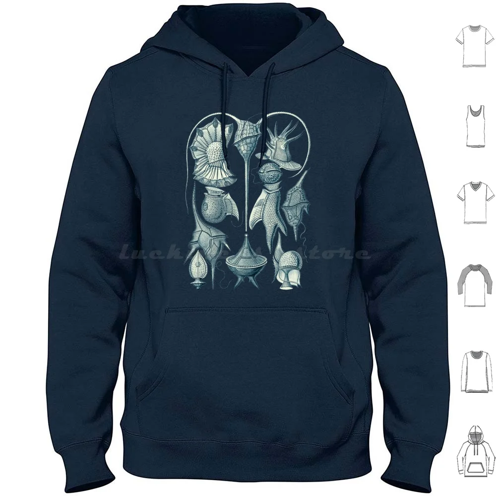 Ernst Haeckel Peridinea Plankton sudaderas con capucha de manga larga Ernst Haeckel Vintage Dinoflagellate Eukaryotic Plankton Cerulean