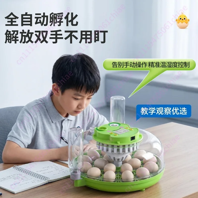Household Small Incubator Automatic Egg Incubator Eggs Duck Eggs Pigeon Eggs Quail Rare Poultry Incubator