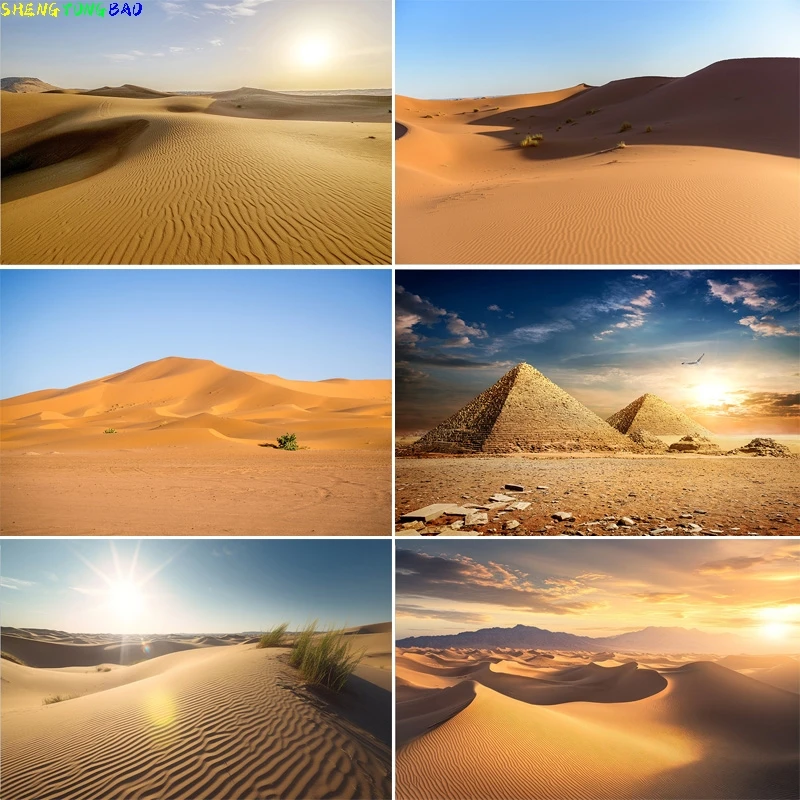 

Vast Sand Dunes Blazing Sun Desert Photography Backdrops Sunset Sky Rocks Safari Landscape Dried Tree Birthday Background DS-02