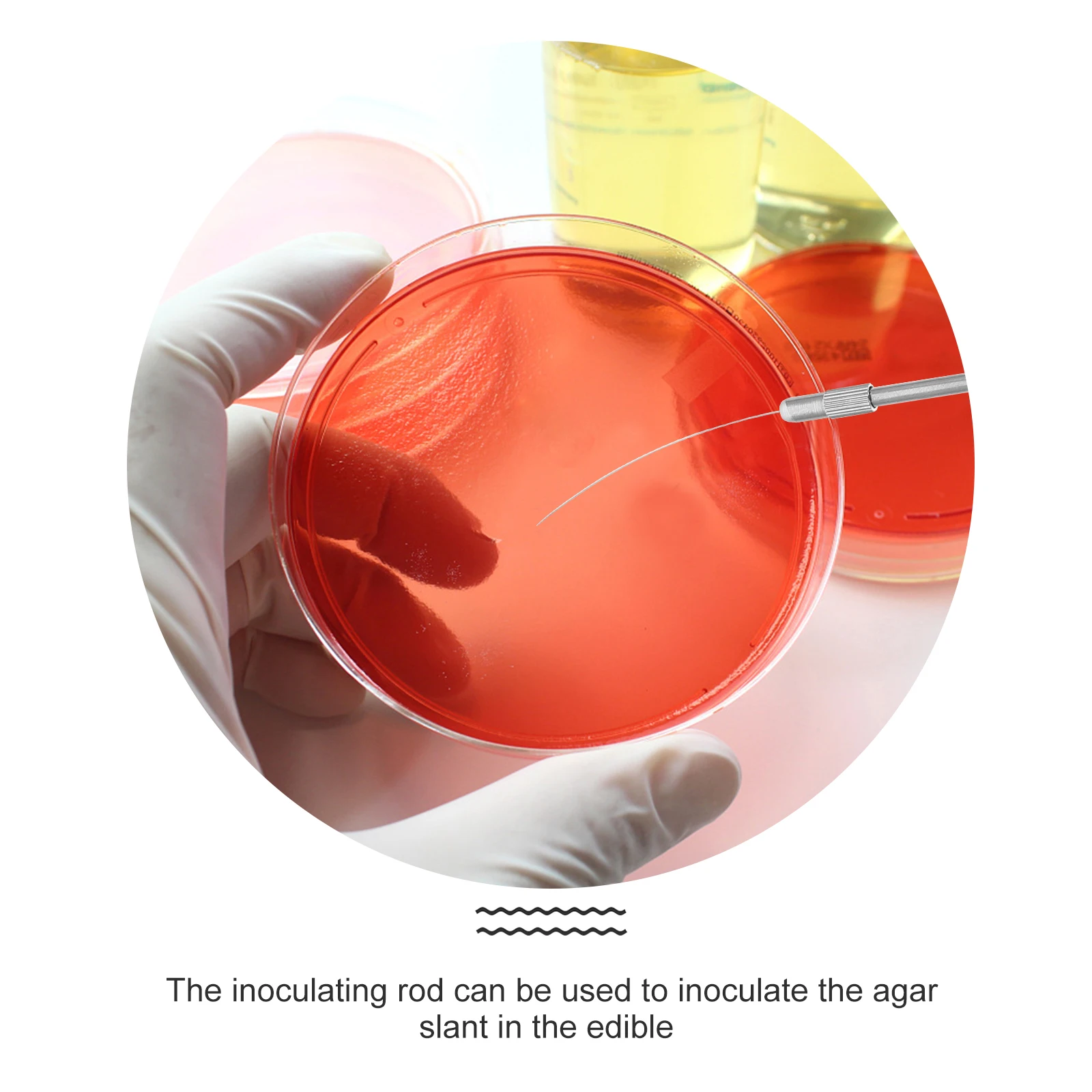 1 set Stainless Steel Inoculation Rods Lab Tools for Microbiology Experiment Random Colors Wire Loop for Culture