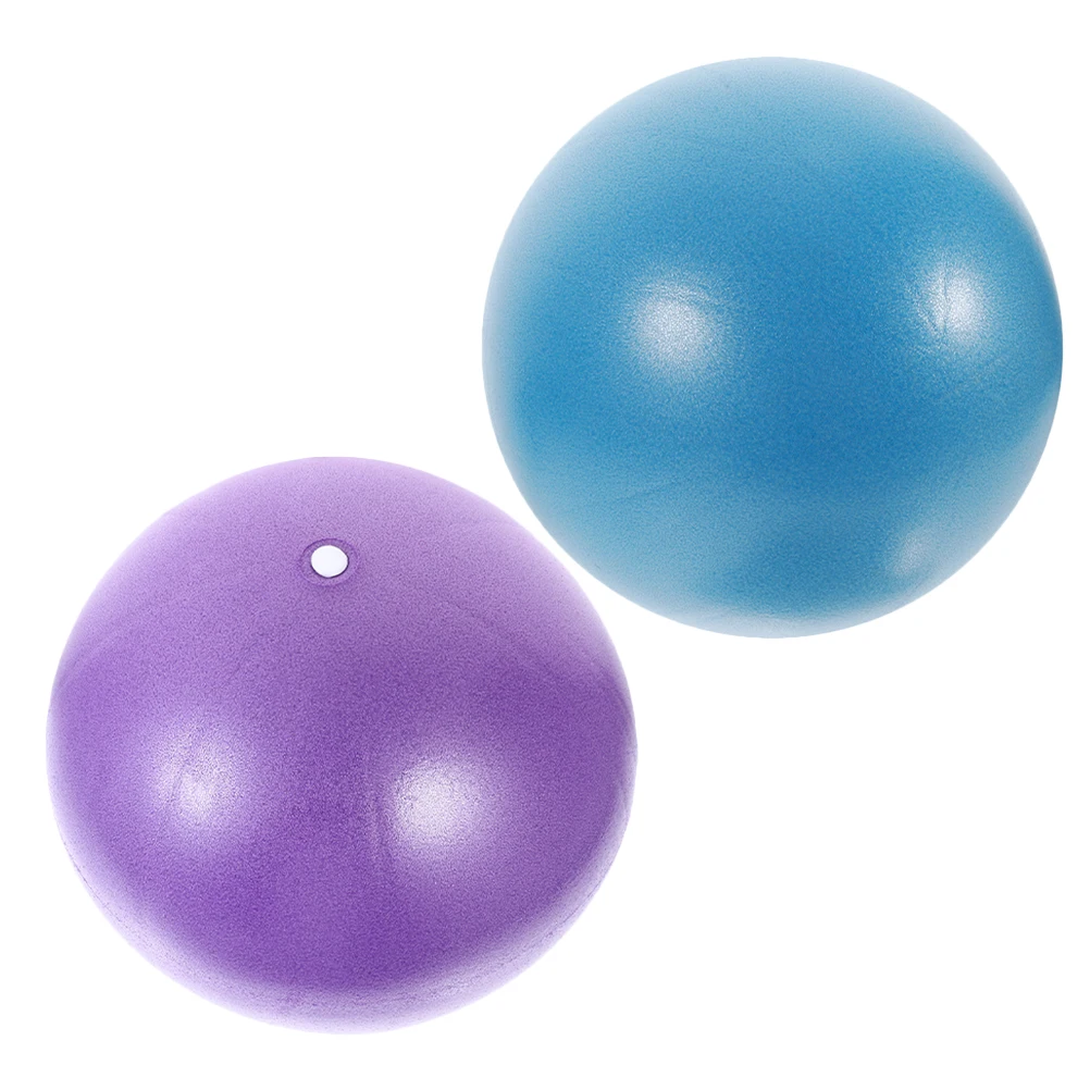 

2 Pcs Gym Ball Balance for Exercise Barre Home Workout Yoga Weights Big Manual Stretcher