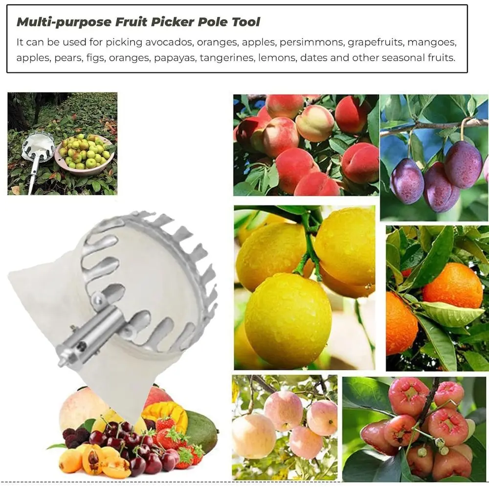 เครื่องมือเก็บผลไม้แบบยืดได้พร้อมถุง - 3 เมตร/9.8 ฟุต, เสาแบบยืดได้น้ำหนักเบาสำหรับเก็บผลไม้ตระกูลส้ม, ลูกพีช, แอปเปิ้ล