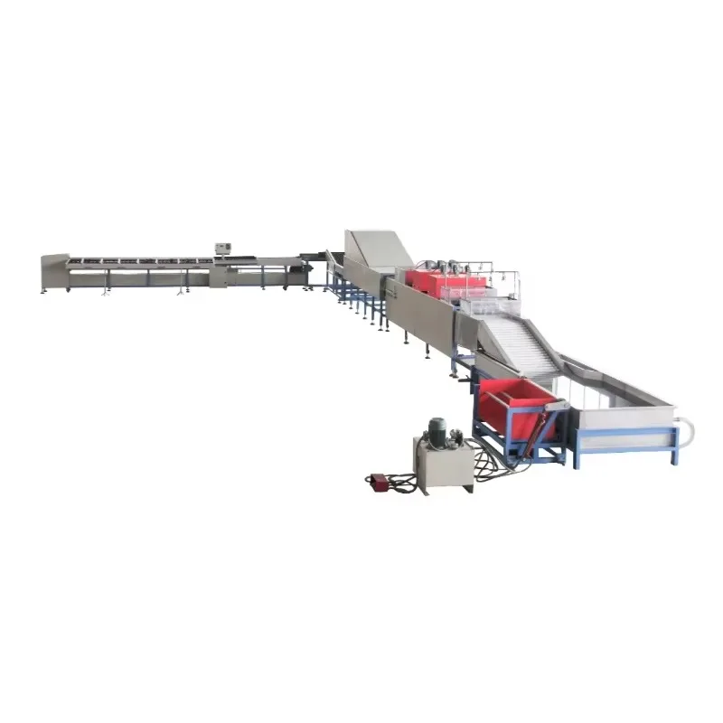Avocado Orange Fruit Washing Waxing Drying Grading Sorting Machine Food-Grade 304 SS Export Processing