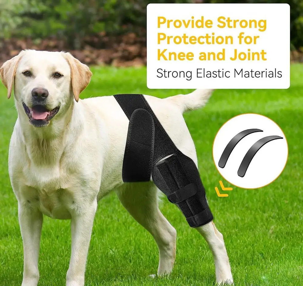 

Pet Knee Pads Dog Knee Brace For Joint Injury Recovering From Surgery Adjustable Pets Leg Injurie Bandages Dogs Accessories