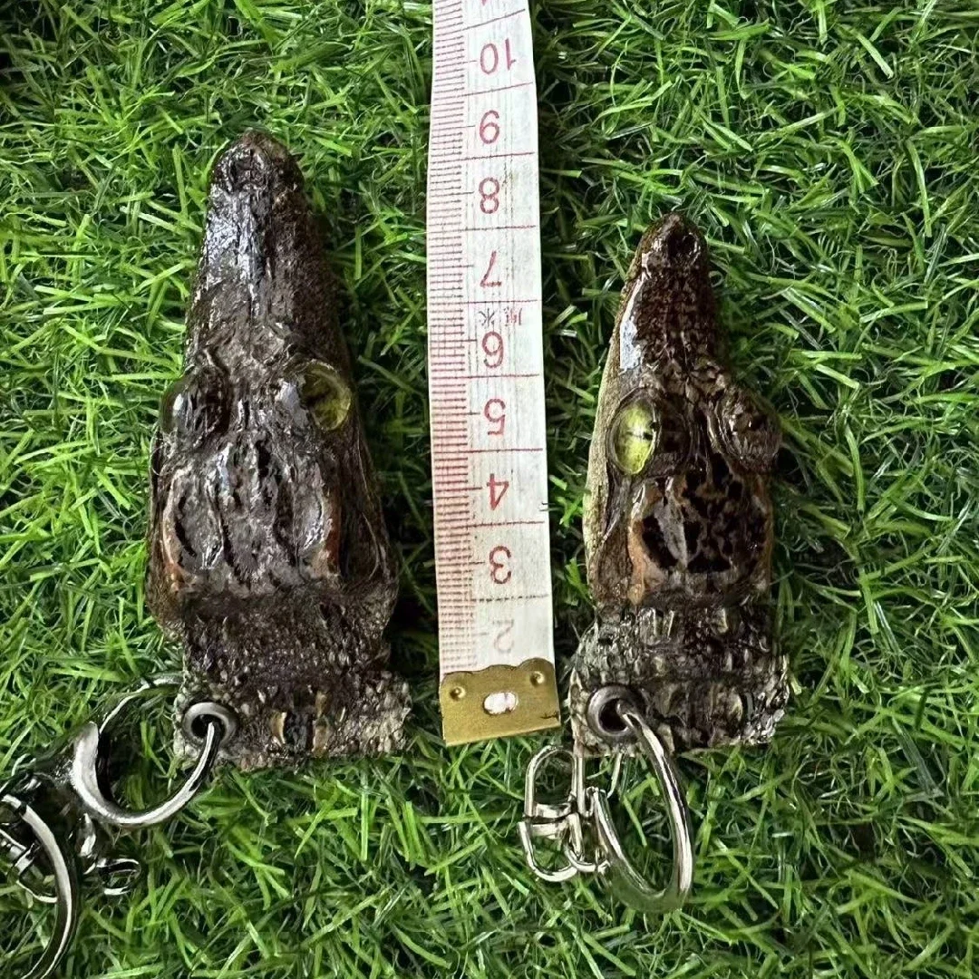 2188 Wholesale Crocodile Head Decoration Resin Art Specimens Handicraft Gothic Wall Decoration Christmas Halloween Party Gifts