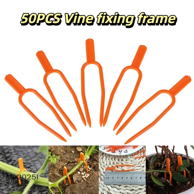 

50PCS Vine fixing frame Plant stem fixator Strawberry planting fork Watermelon fixing fixture clamp plant bracket Gardening