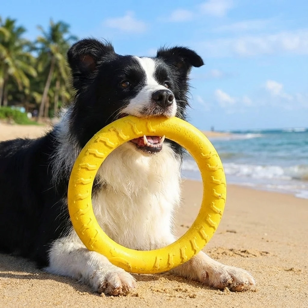 Eva Pet Toys For Do…