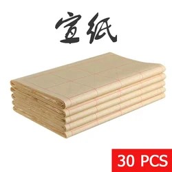 30pcs Xuan Paper Bamboo Pulp Rice Paper Chinese Characters Practice Handwriting Painting Learning Kaishu Calligraphy Art Paper