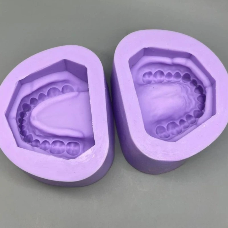 2Pcs/Set Dental Silicone Plaster Model Mold Complete Cavity Block Mould Toothless Base Standard 28 Teeth Dentistry Materials