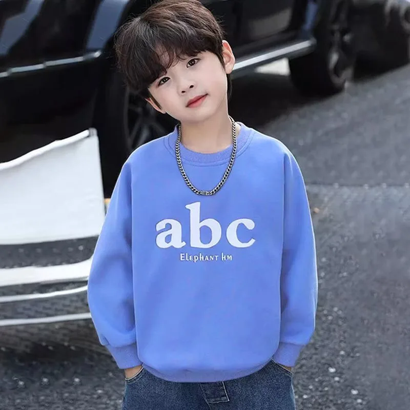 Boys' Mid-Large Size 2025 Spring-Autumn New Crewneck Layering Stylish Dashing Street-Cool Sweatshirt