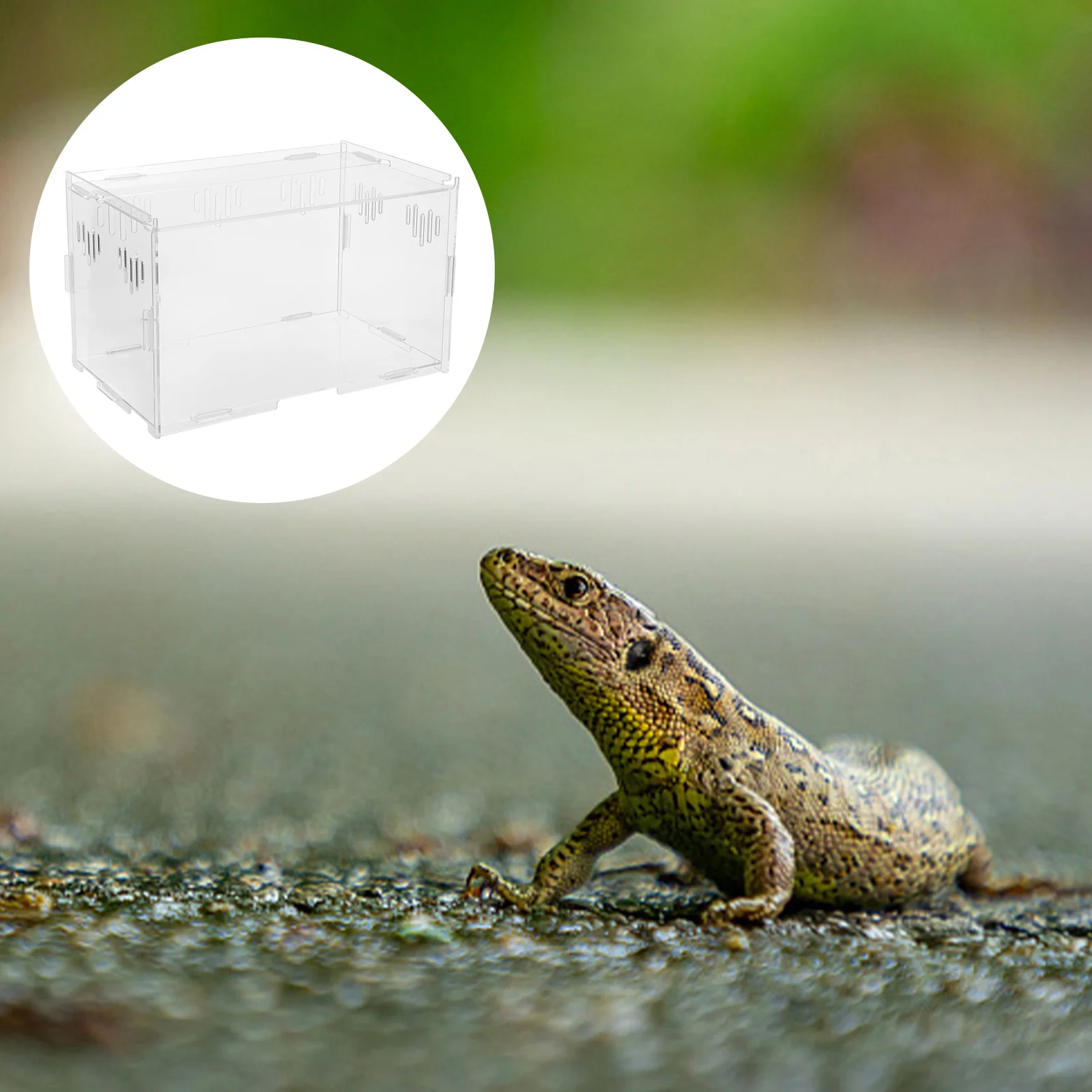 

1Pcs Acrylic Crawler Terrarium Safety Clear Assembled Reptile Breeding Box Suitable for Small Crabs Spiders Turtles Feeding