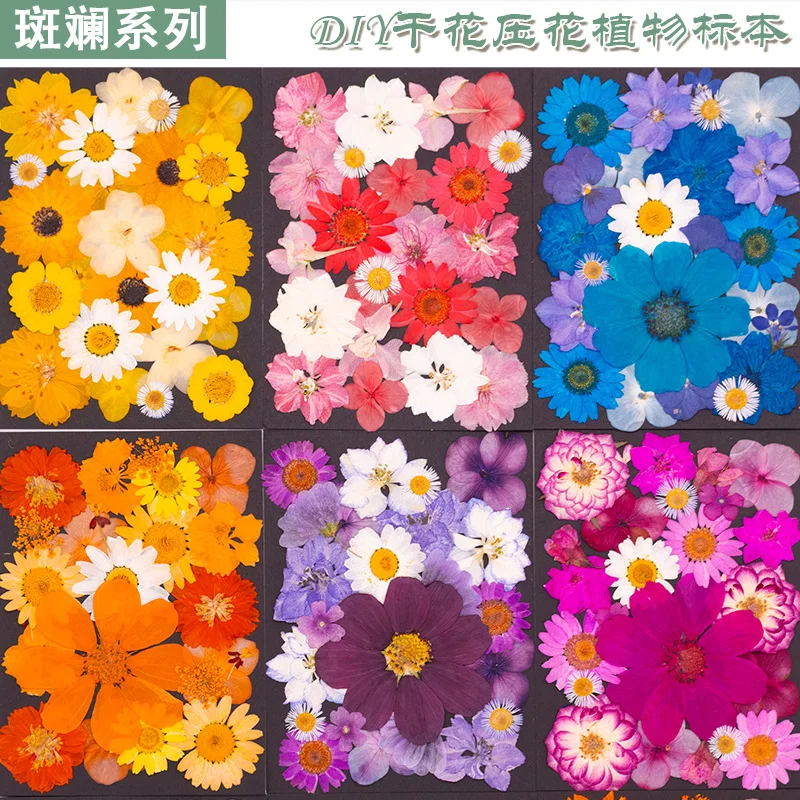

Natural Colored Dried Flower Pressed Flower DIY Material Kit Plant Specimen Handmade Pressed Flower Real Flower Petals Resin Frame Decoration