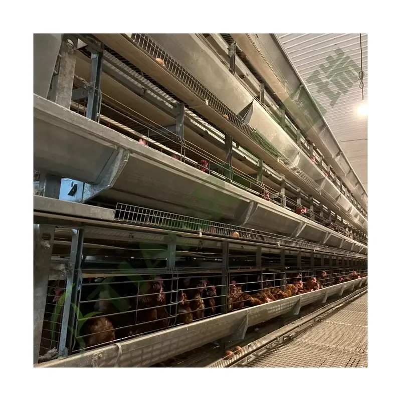 New H-Type Automatic Poultry House Equipment with Galvanized Steel for 10000 Layer Chickens Chicken Farm Modern Design