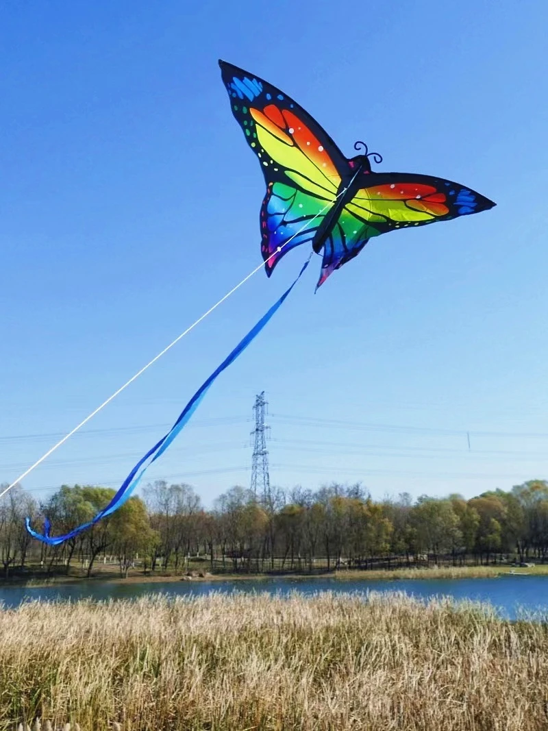 Cometas de mariposa voladoras para niños, cometas de nailon, carrete volador de fábrica, juegos al aire libre, cometa de surf, vuelo volador colorido, diversión