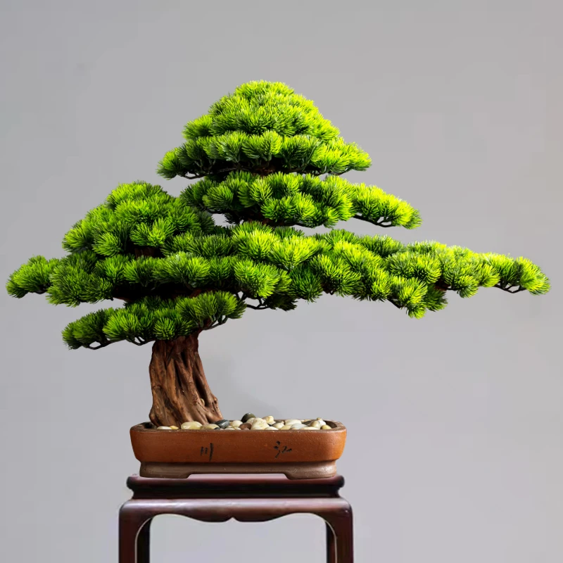 Living Room Simulation Podocarpus Beauty Pine Plant Decoration Fake Pine Green Plant Decoration Entrance Decoration Bonsai