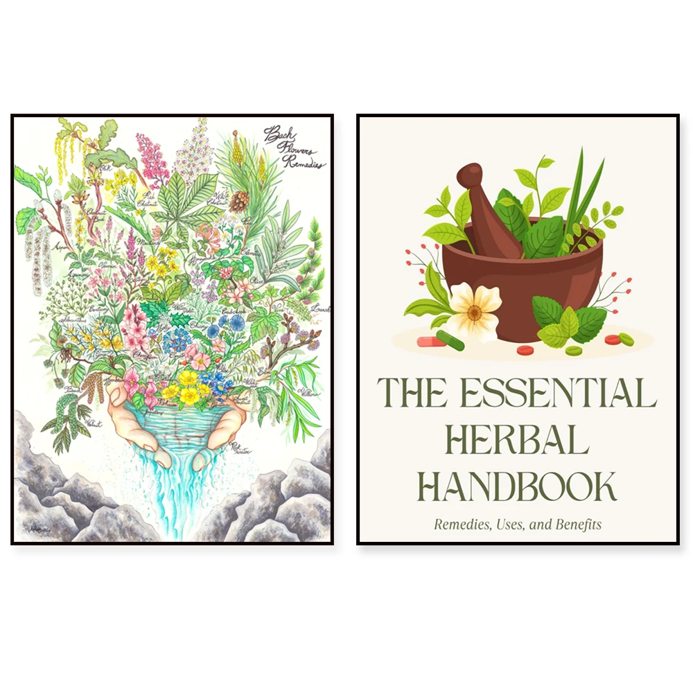 Bach Flower Remedies - 38 Bach Flower Remedies, Natural Remedies Guide, Plant Reference, Flower Remedies Poster