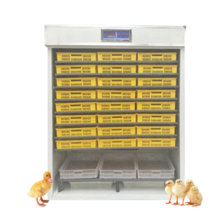 

Automatic Large-sized 528 Egg Incubator Hatching Eggs For Sale